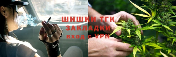 дживик Аркадак