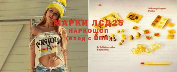 дживик Аркадак