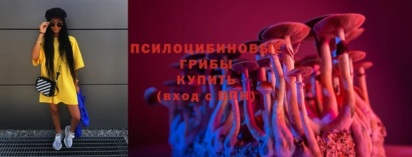 дживик Аркадак
