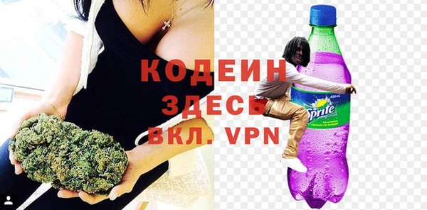 сатива Арсеньев