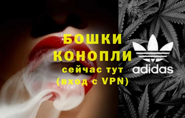 сатива Арсеньев