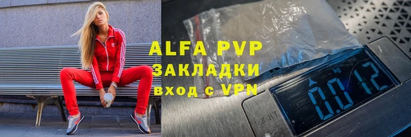 сатива Арсеньев