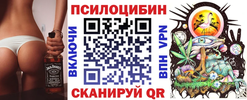 kraken вход  даркнет телеграм  Галлюциногенные грибы GOLDEN TEACHER  Павлово 