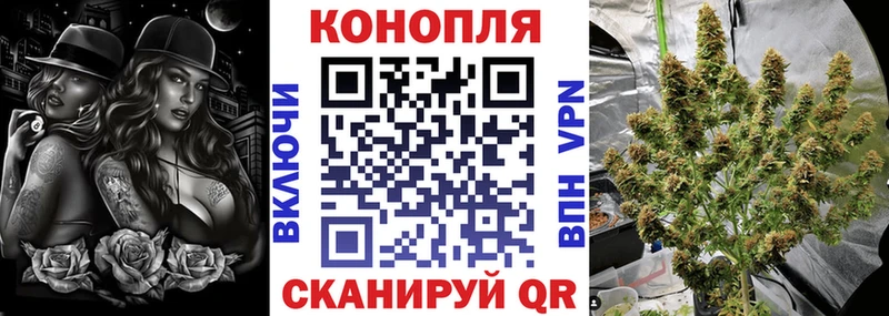 закладка  Павлово  Бошки Шишки конопля 